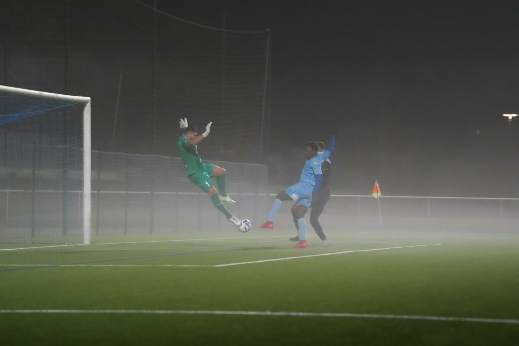 55086950164 805da1c0e2 k